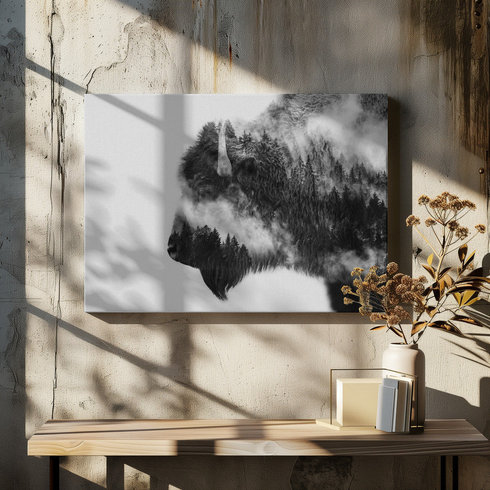 Bison