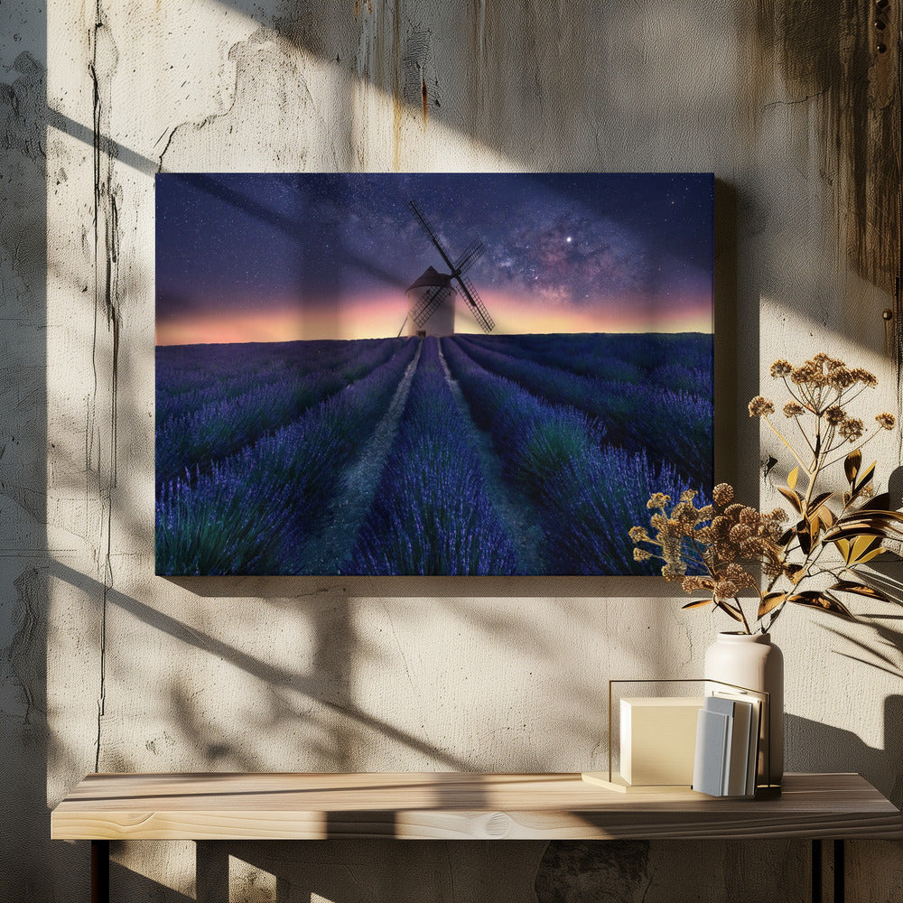 Lavender night