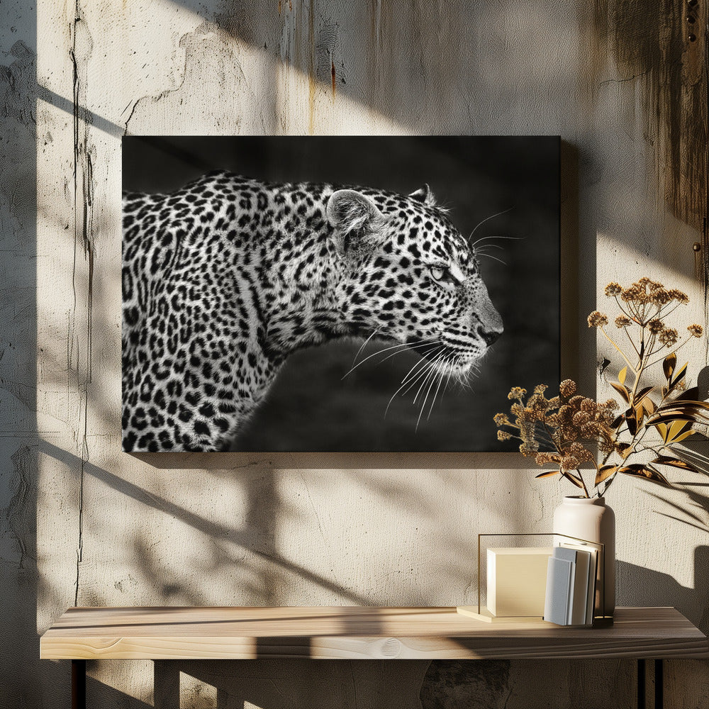 Leopard Close Up