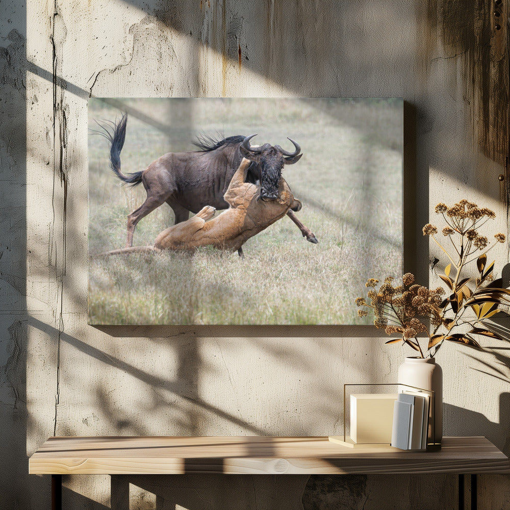 Art Prints of Fighting.