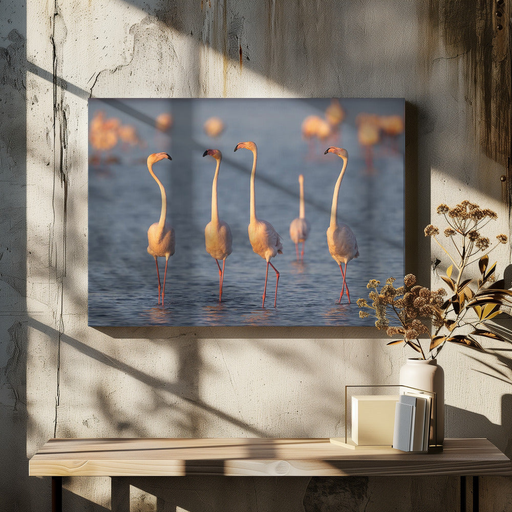 Art Prints of The quartet