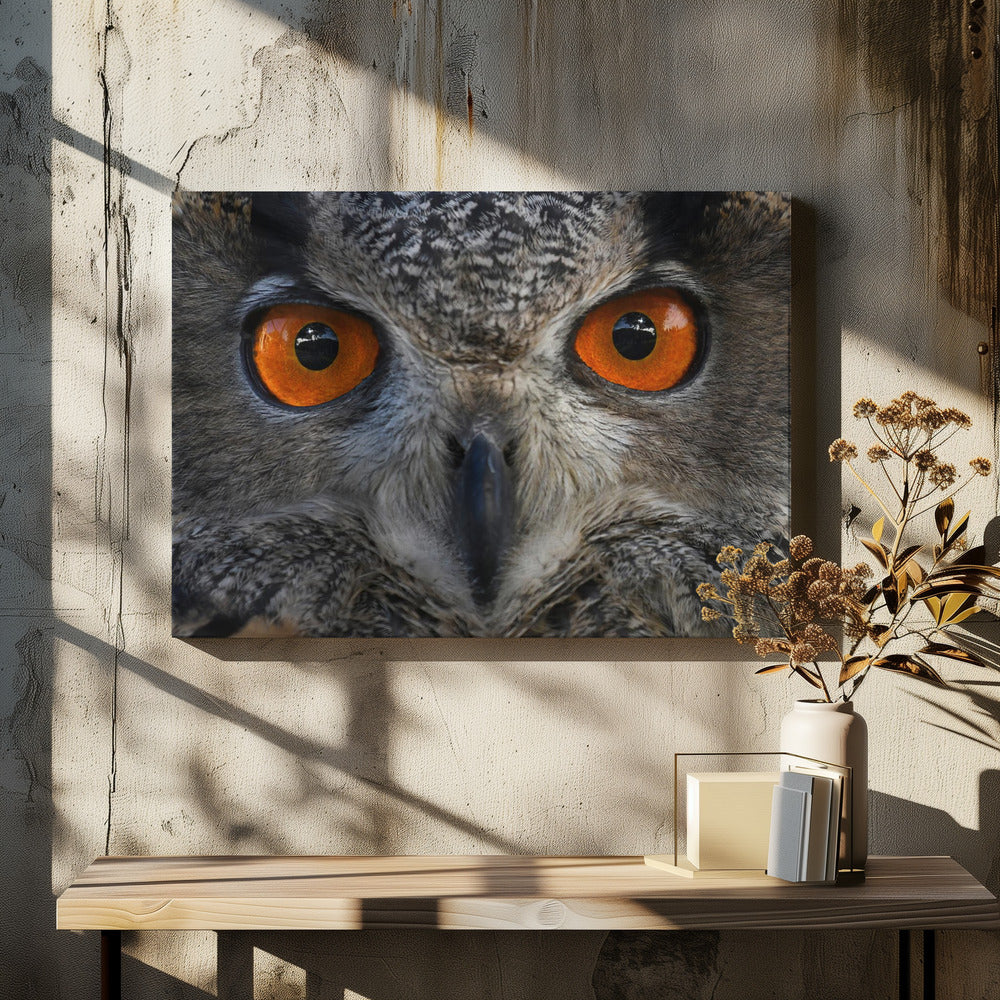 Art Prints of Staring at ....