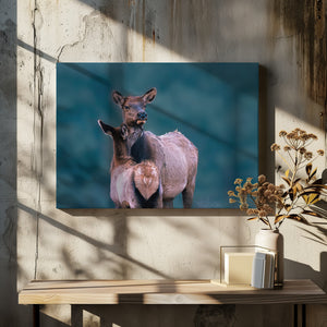 Art Prints of A Tender Moment with Mom