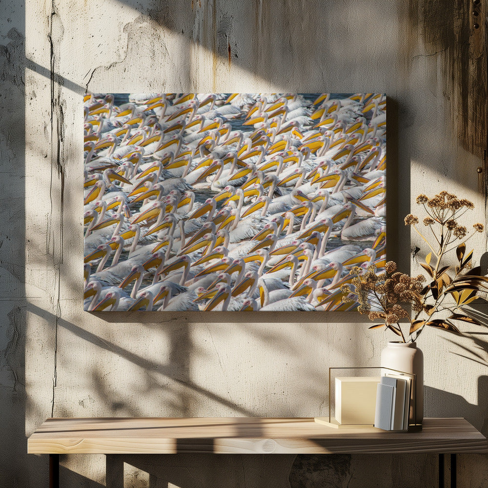 Art Prints of Pelican Parade