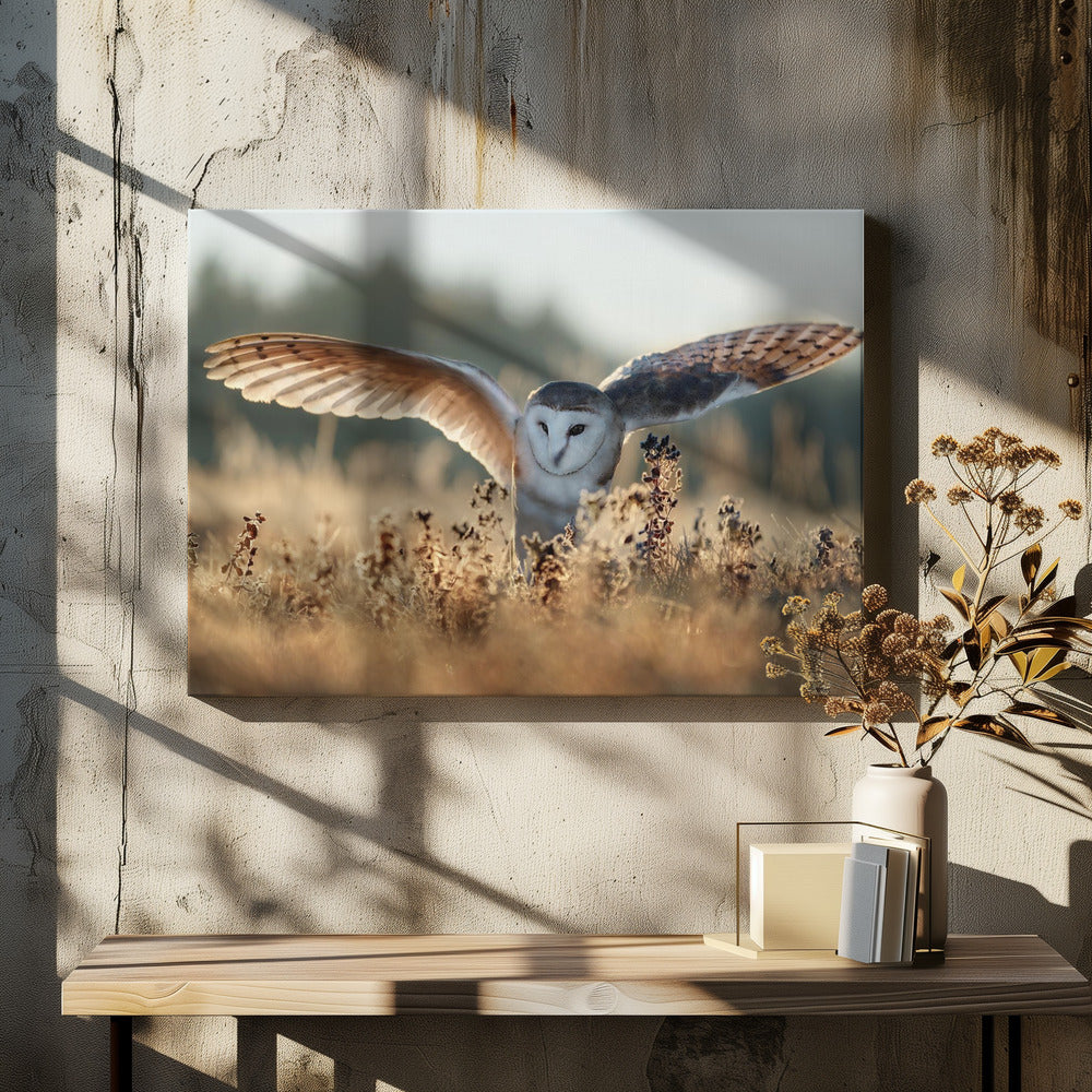Art Prints of Sunrise