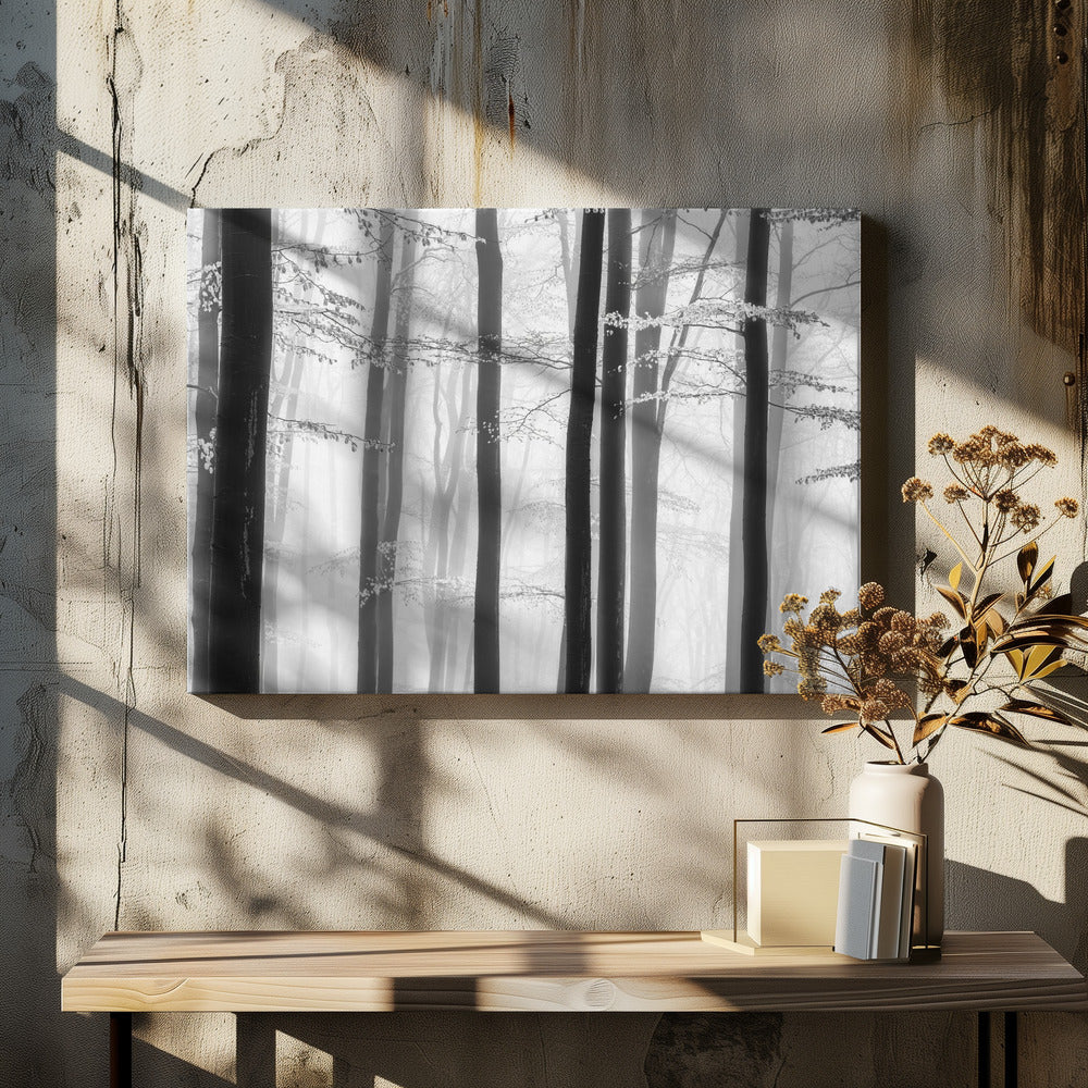Spring trees