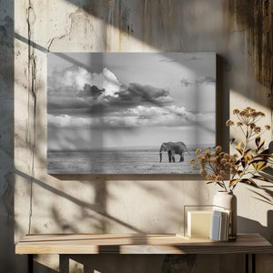Art Prints of Alone