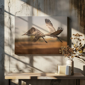 Art Prints of Flying over