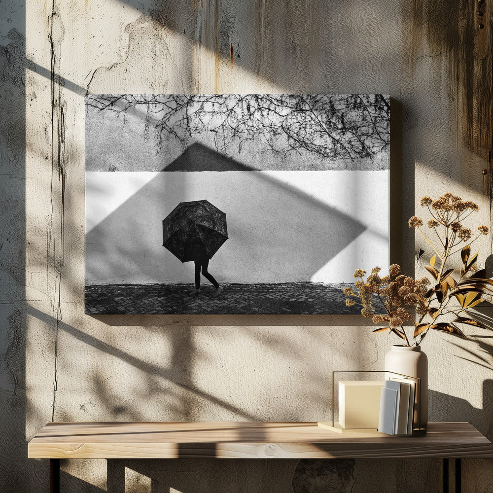 Shadow Geometry