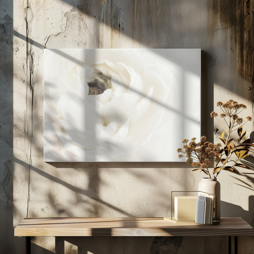 White Flower 02