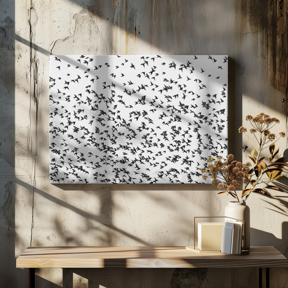 Art Prints of stars