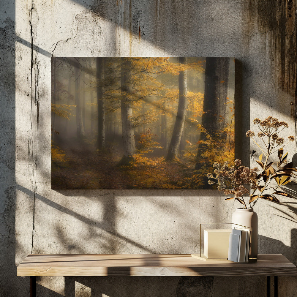 Autumn woods