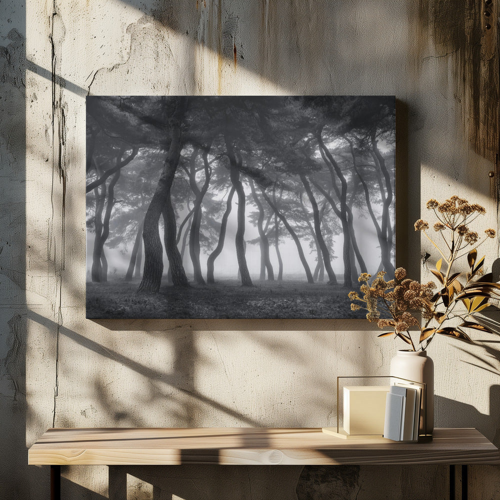 Dancing trees