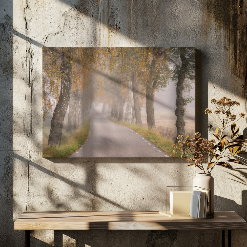 Falling Leaves