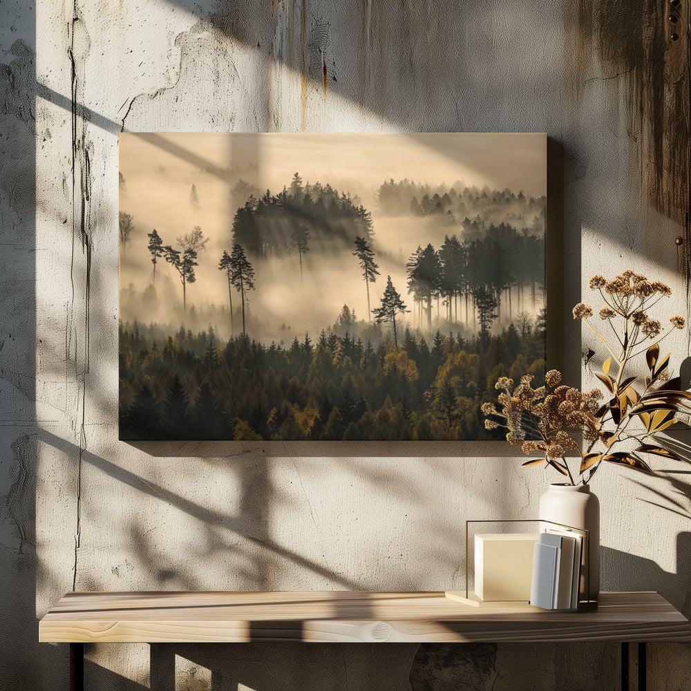 story of the forest