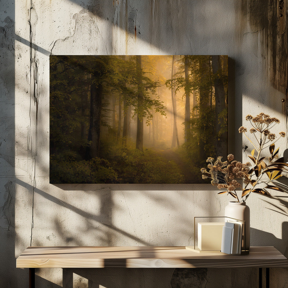 Autumn Forest
