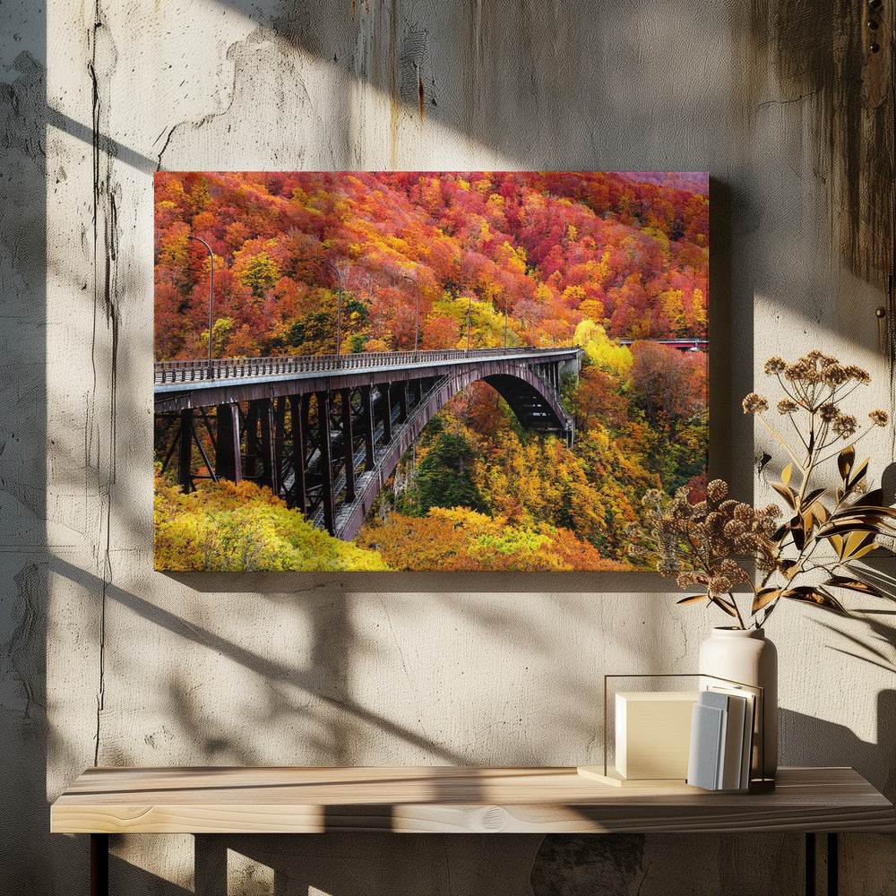 The art arch bridge