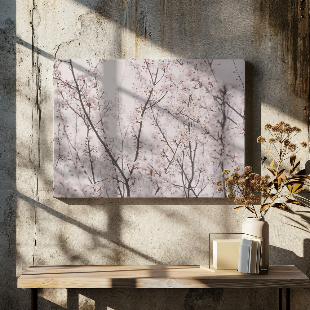Spring blossoms