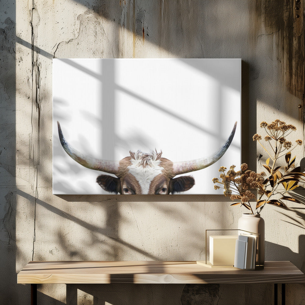 Peeking Longhorn Cow