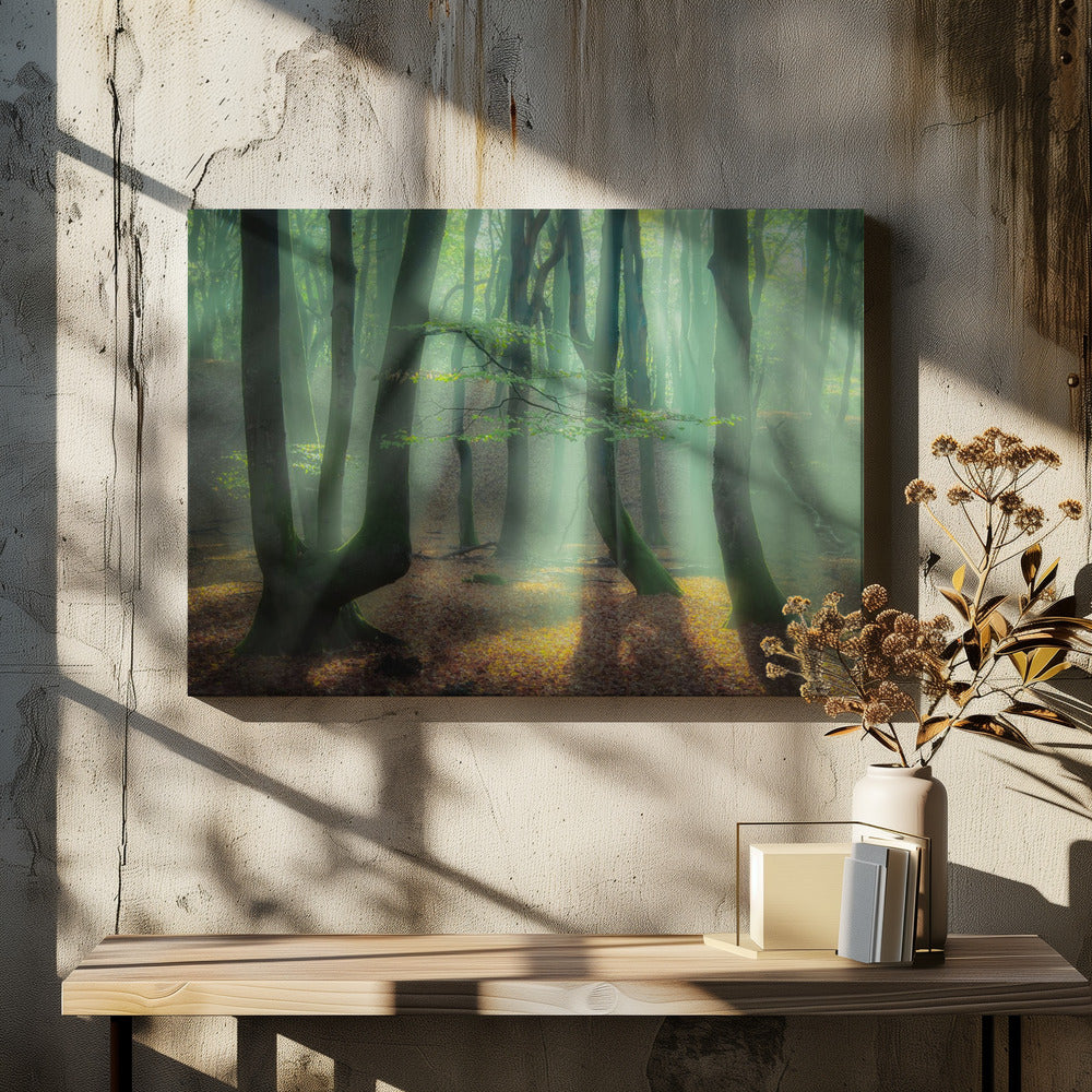 Magical forest.