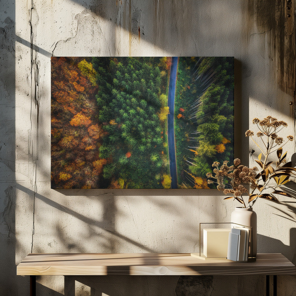 Autumn Road