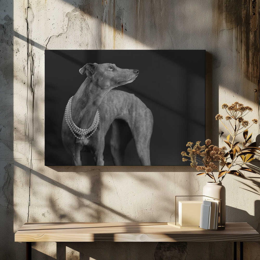 Whippet girl with the pearl necklace