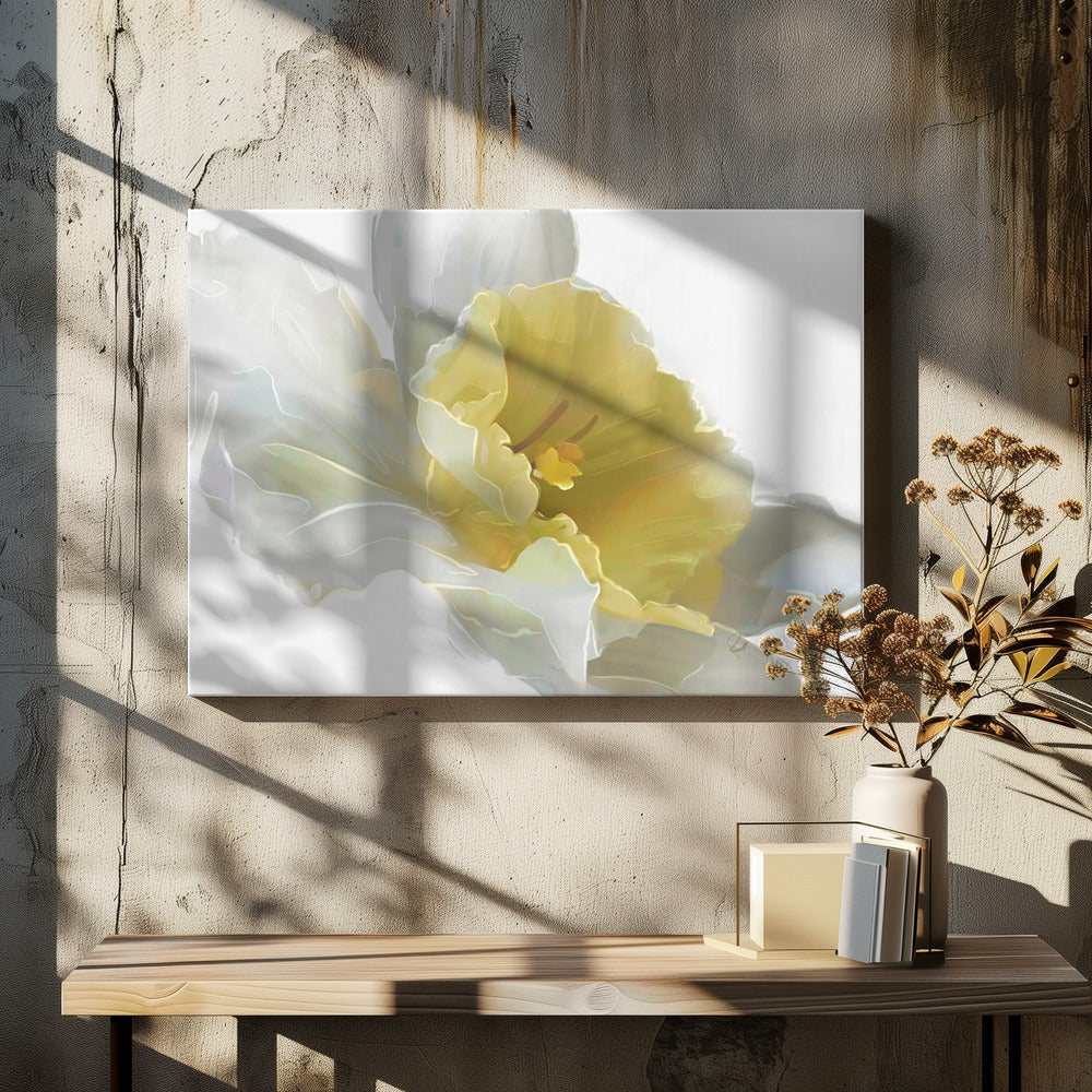 Daffodil