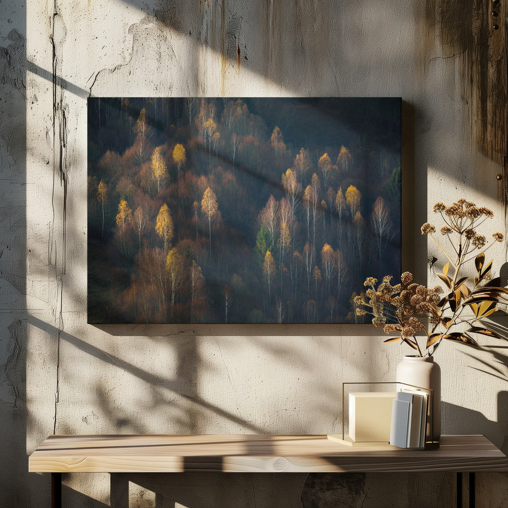 Late Autumn