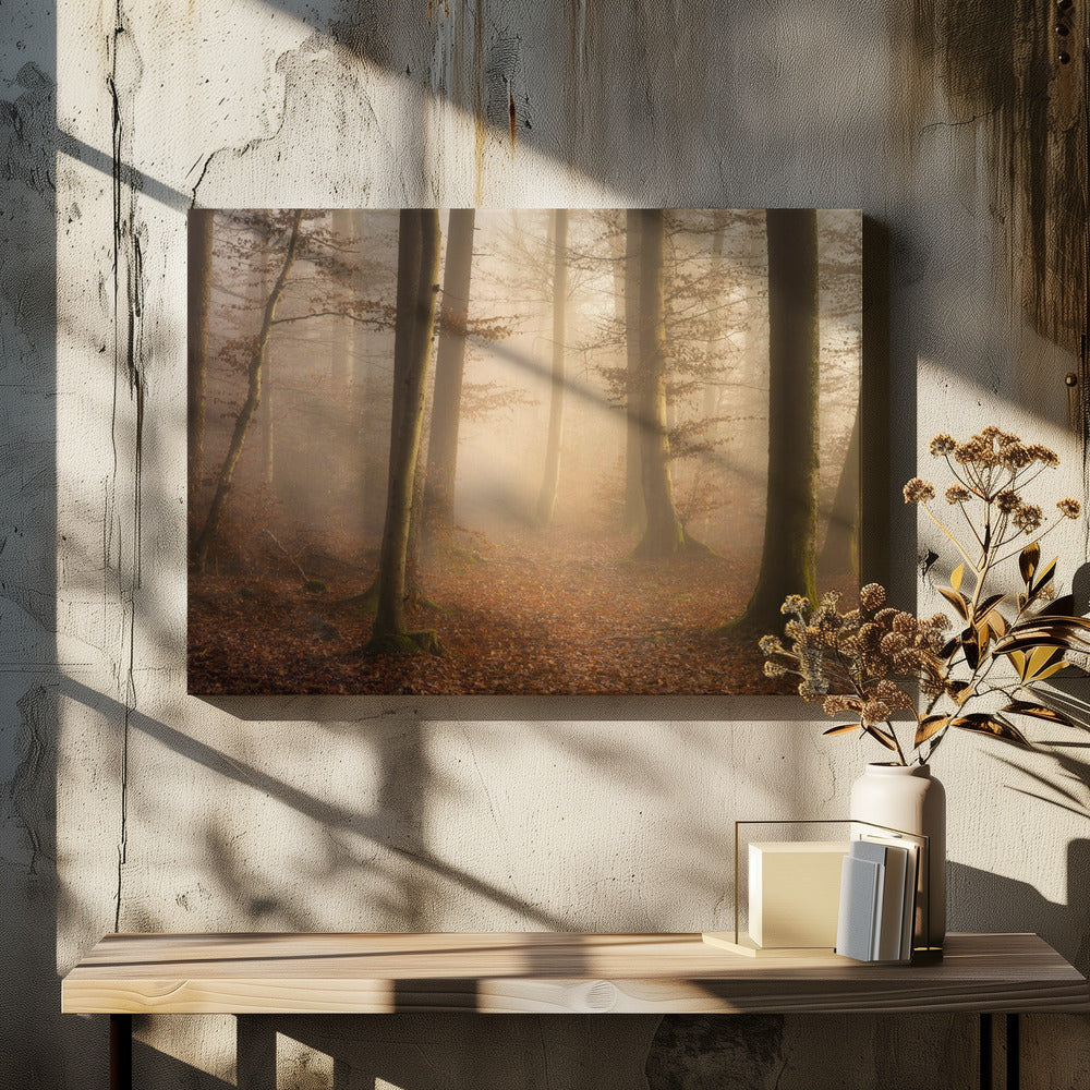 November Forest