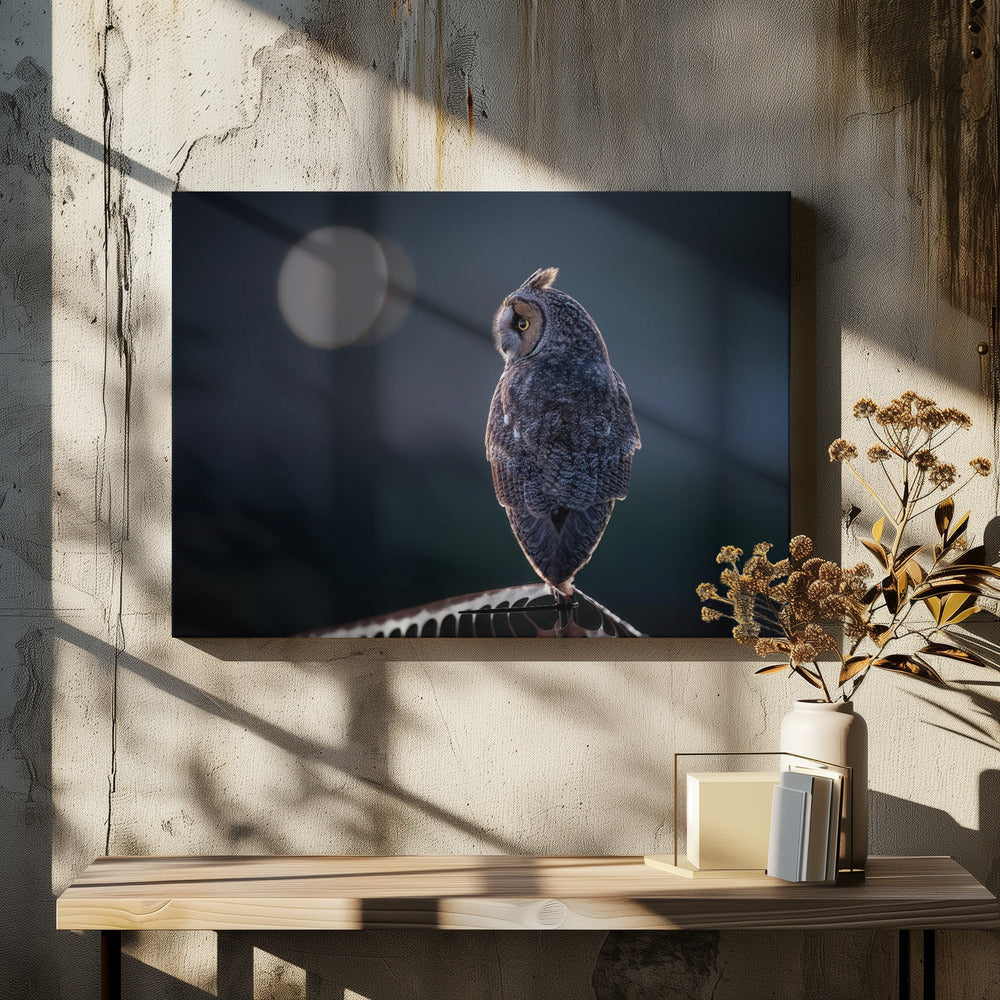 Canvas Art Print Night Watcher