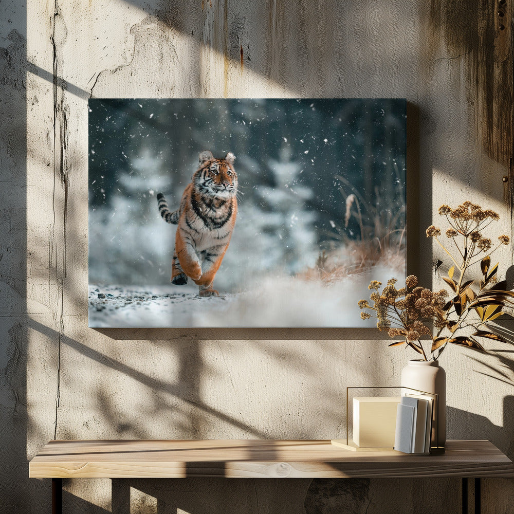 The Siberian tiger
