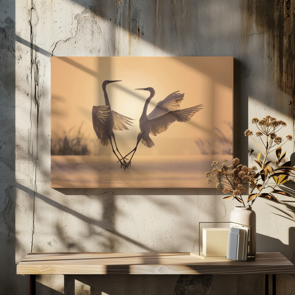 Egrets in sunset
