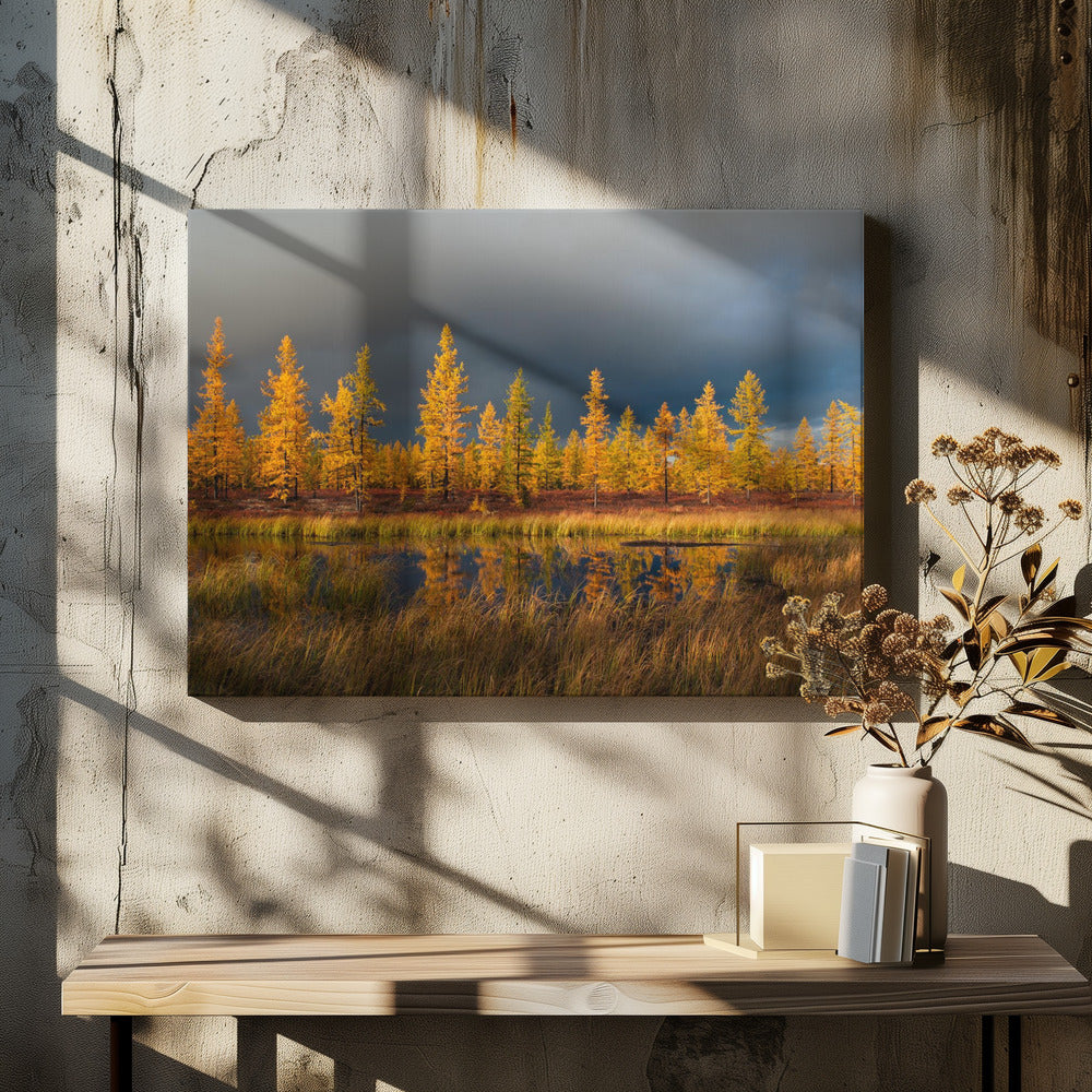 Siberian fall
