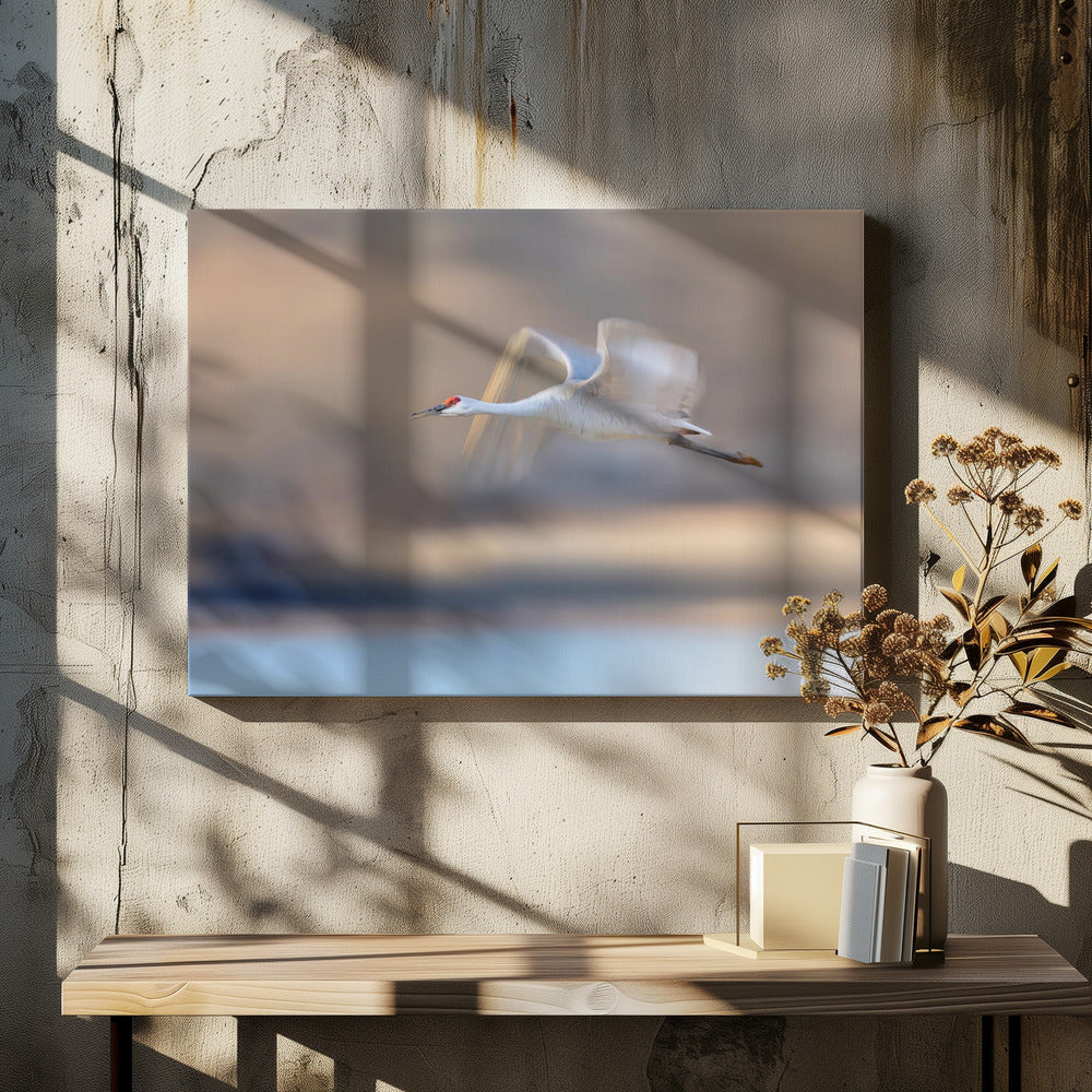 Crane Flying in Soft Light