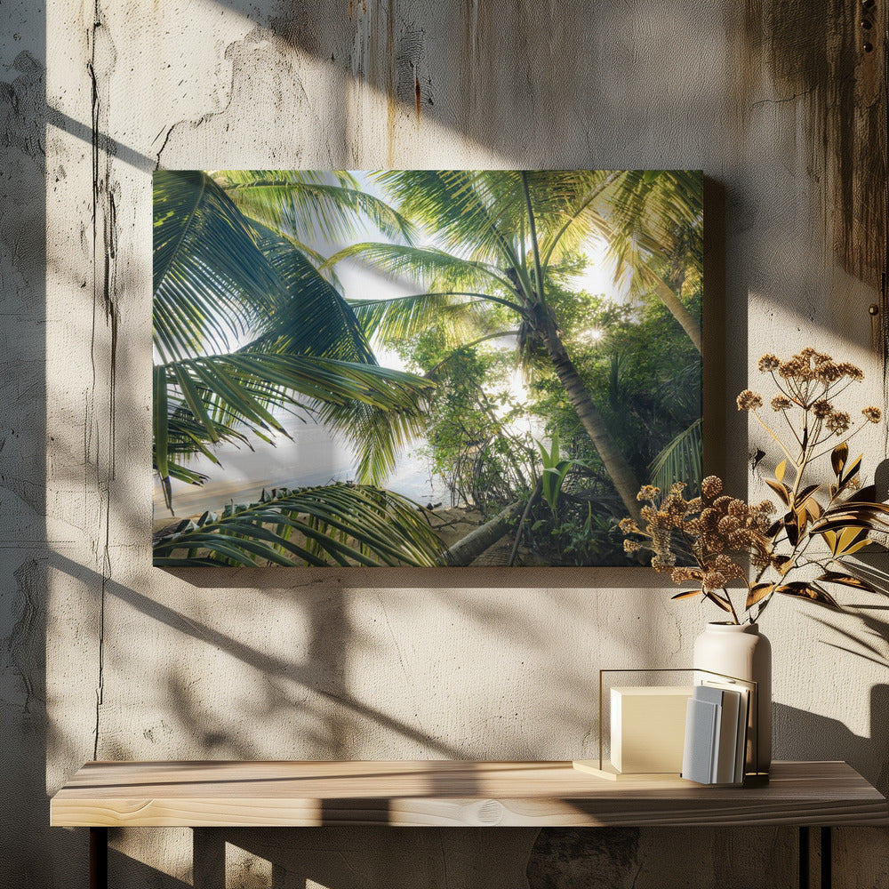 Hide under Palms