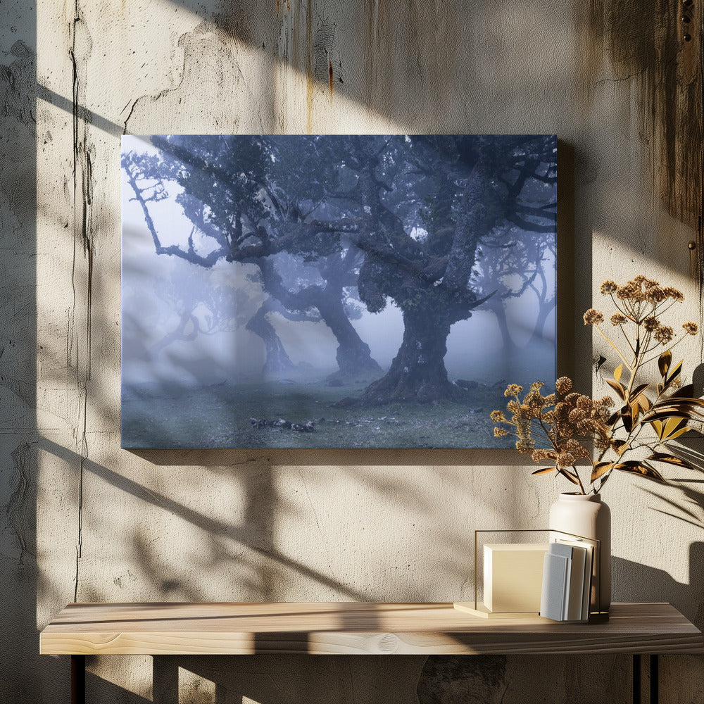 Blue Woods