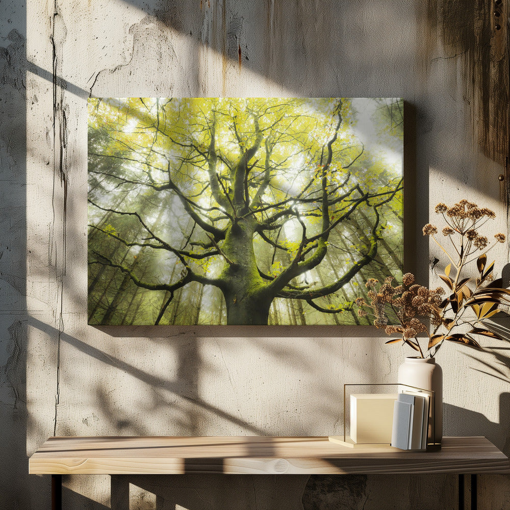 The Dream Tree