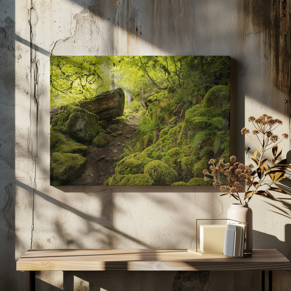 Mossy Path