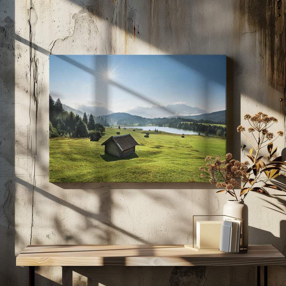 Summer Meadow