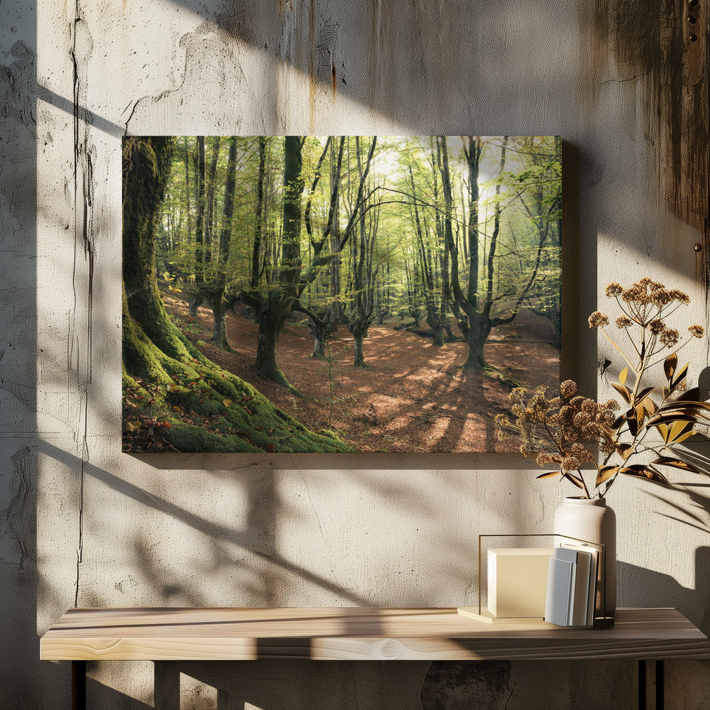 Forest Love