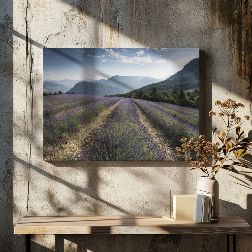 Lavender Hills