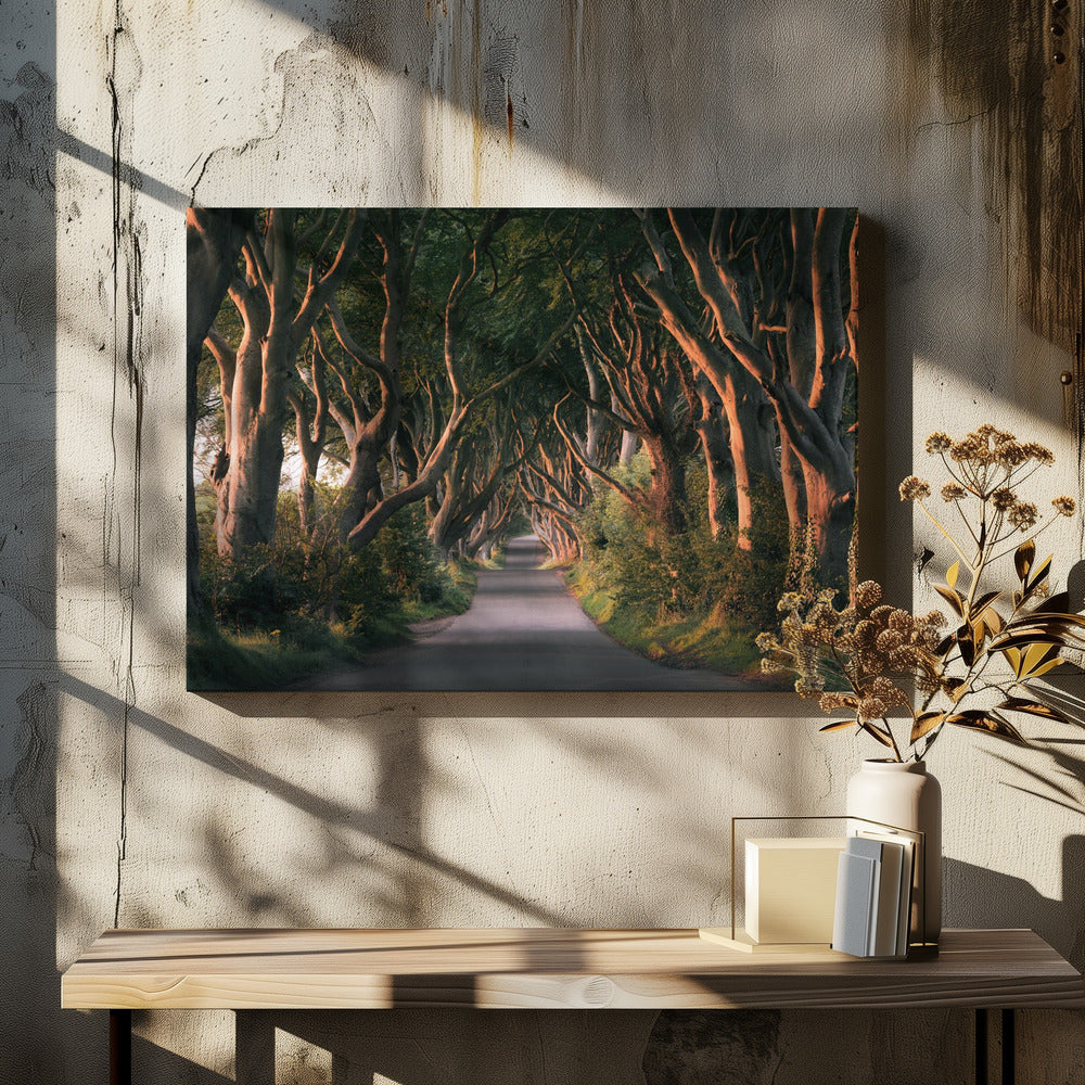 Red Avenue