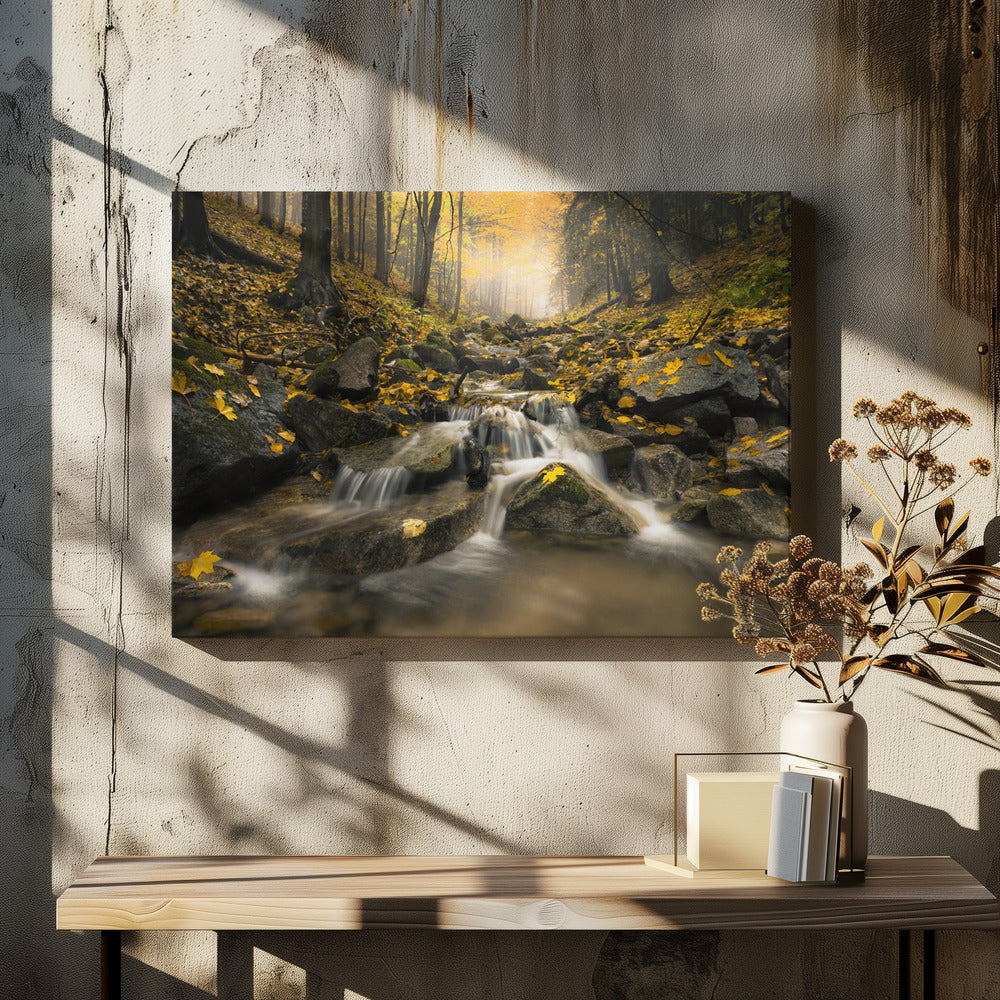 Autum Stream