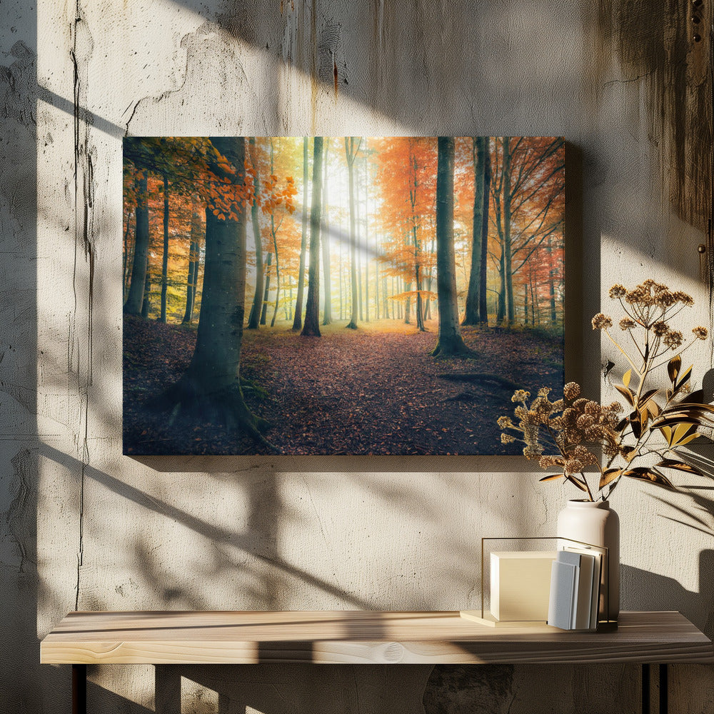 Autumn in the Woods