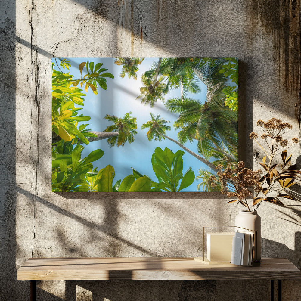 Tropical Up