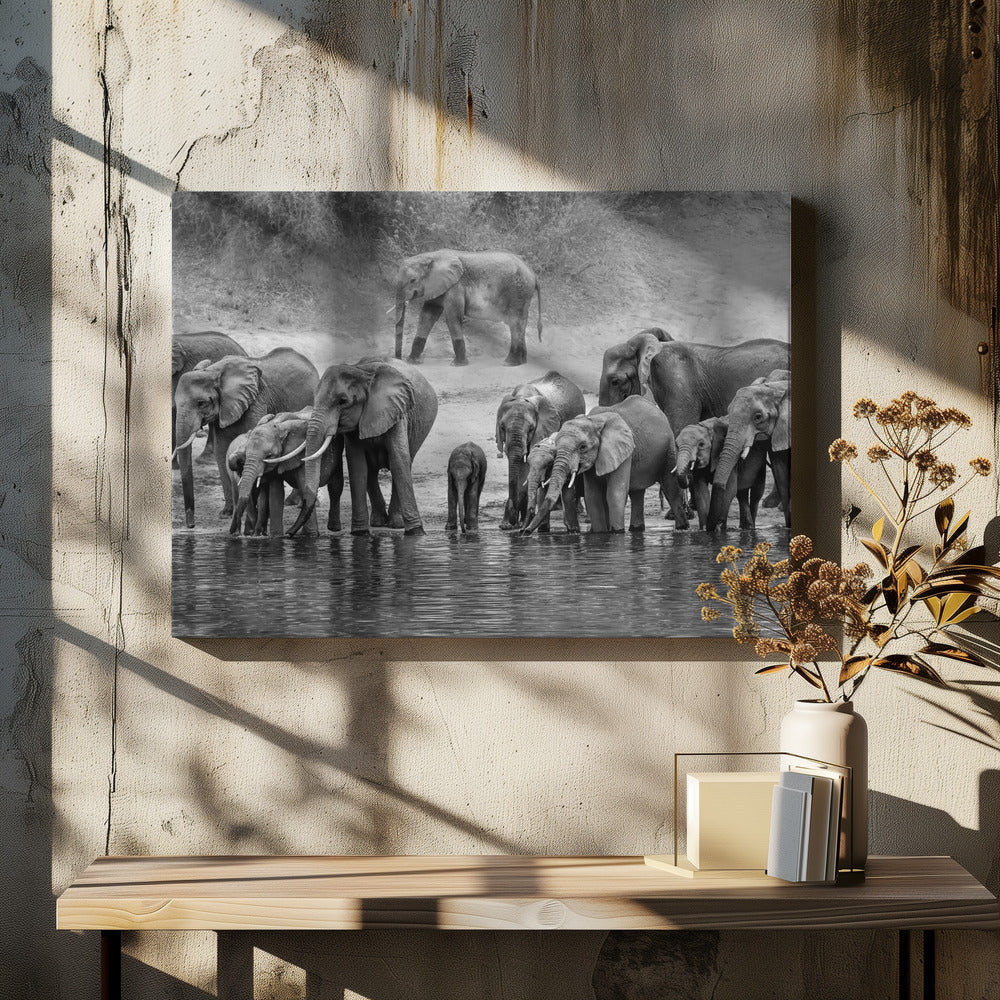 Elephant Family