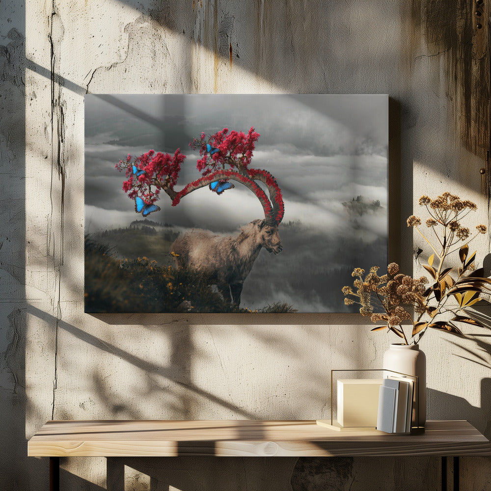 Ibex