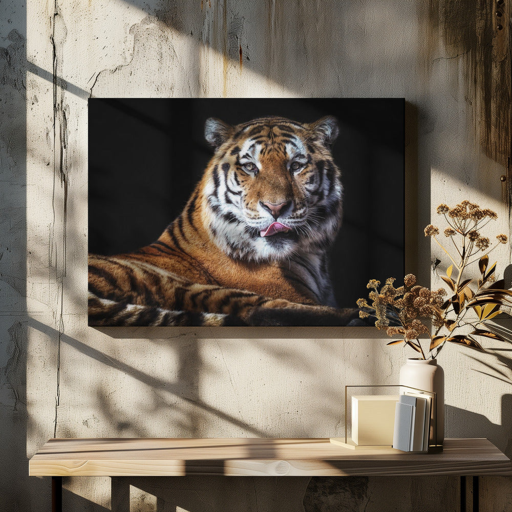Sibirian Tiger