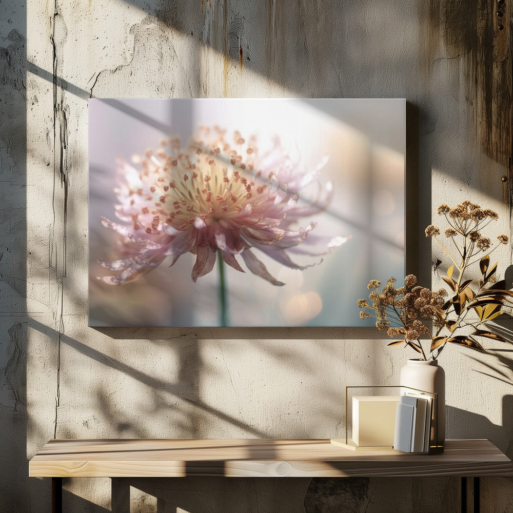 Gentle Pink Flower