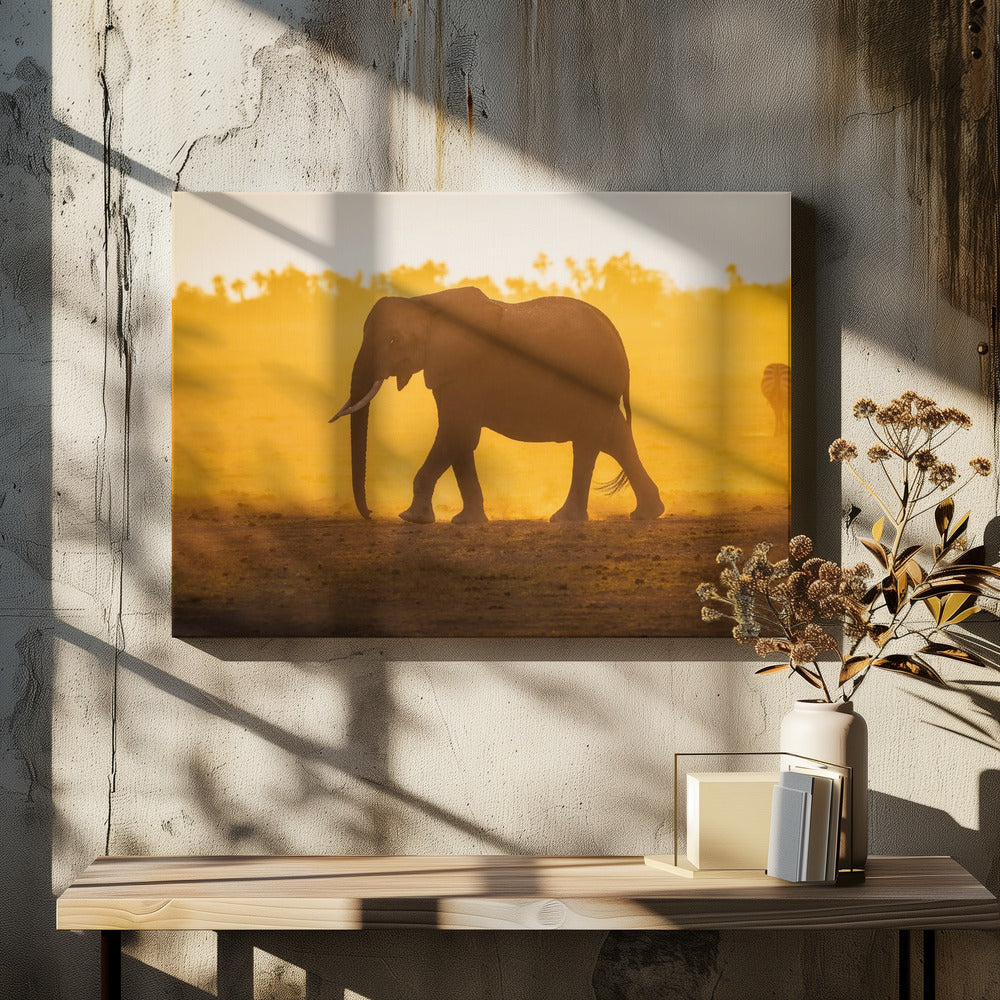 Elephantine Sunrise
